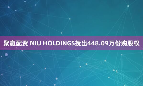聚赢配资 NIU HOLDINGS授出448.09万份购股权