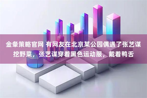 金夆策略官网 有网友在北京某公园偶遇了张艺谋挖野菜,张艺谋穿着黑色运动服,戴着鸭舌