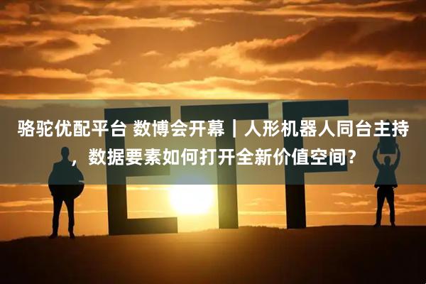 骆驼优配平台 数博会开幕｜人形机器人同台主持，数据要素如何打开全新价值空间？